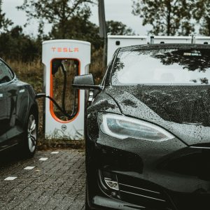 andreas-rasmussen-MBW3F1jEhh0-unsplash